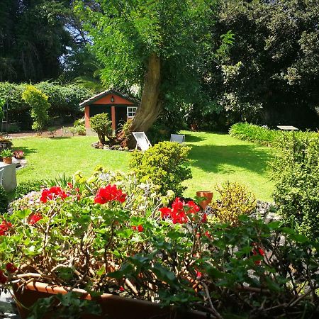 Jardines De Hortensia - Vacation Home Tenerife لا لاغونا المظهر الخارجي الصورة