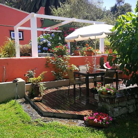 Jardines De Hortensia - Vacation Home Tenerife لا لاغونا المظهر الخارجي الصورة