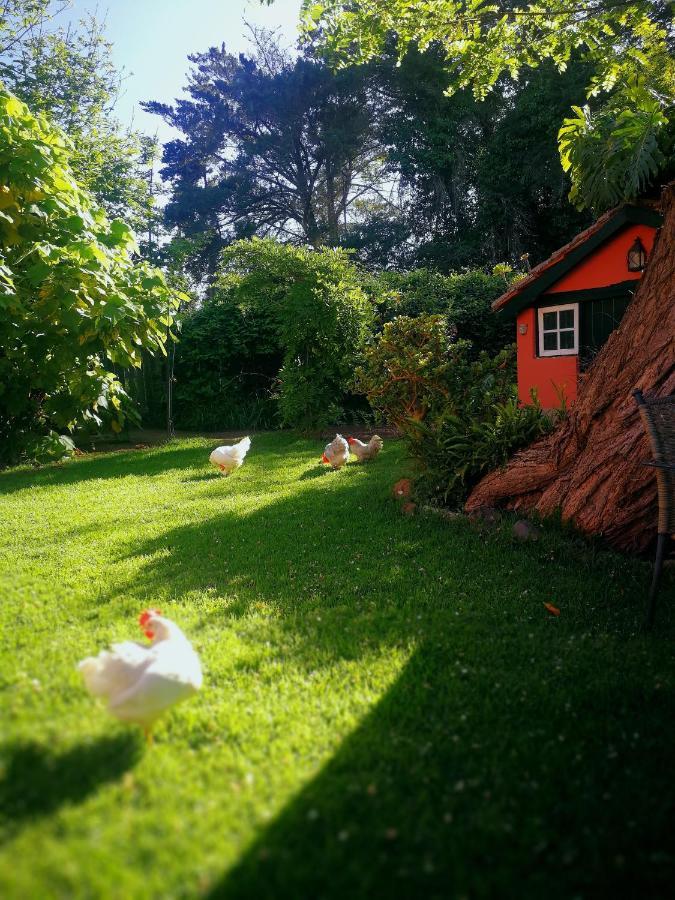 Jardines De Hortensia - Vacation Home Tenerife لا لاغونا المظهر الخارجي الصورة