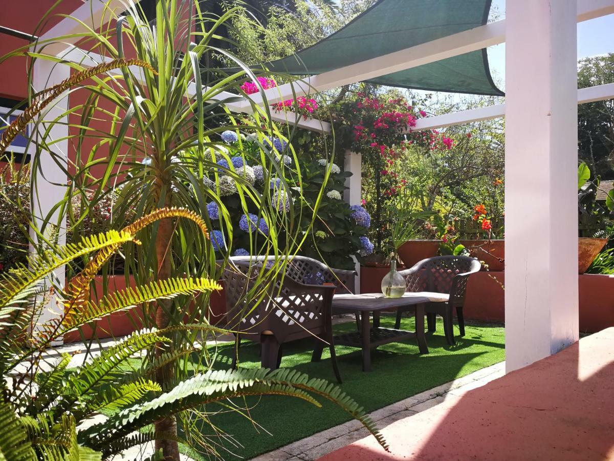 Jardines De Hortensia - Vacation Home Tenerife لا لاغونا المظهر الخارجي الصورة