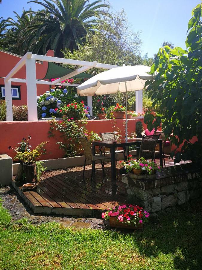 Jardines De Hortensia - Vacation Home Tenerife لا لاغونا المظهر الخارجي الصورة