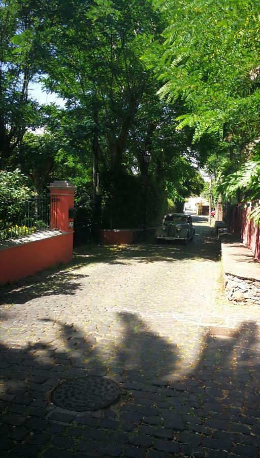 Jardines De Hortensia - Vacation Home Tenerife لا لاغونا المظهر الخارجي الصورة